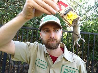 Saint Louis pest control